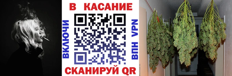 Наркошоп купить ГАШИШ  Канабис  Меф мяу мяу  Закаменск