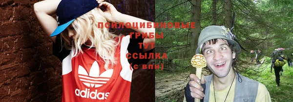 меф Заводоуковск
