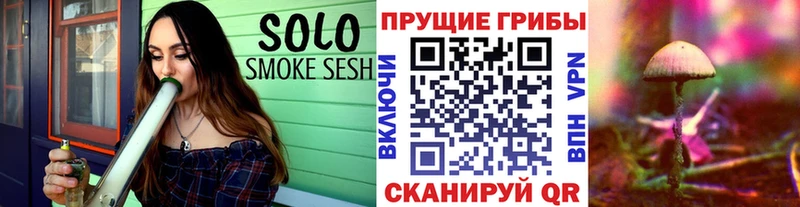 Псилоцибиновые грибы Magic Shrooms Купить закладки Закаменск