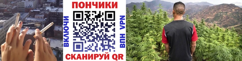 Купить  Закаменск  Конопля Amnesia 